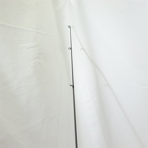 ２０ルナミスＳ１００Ｍ